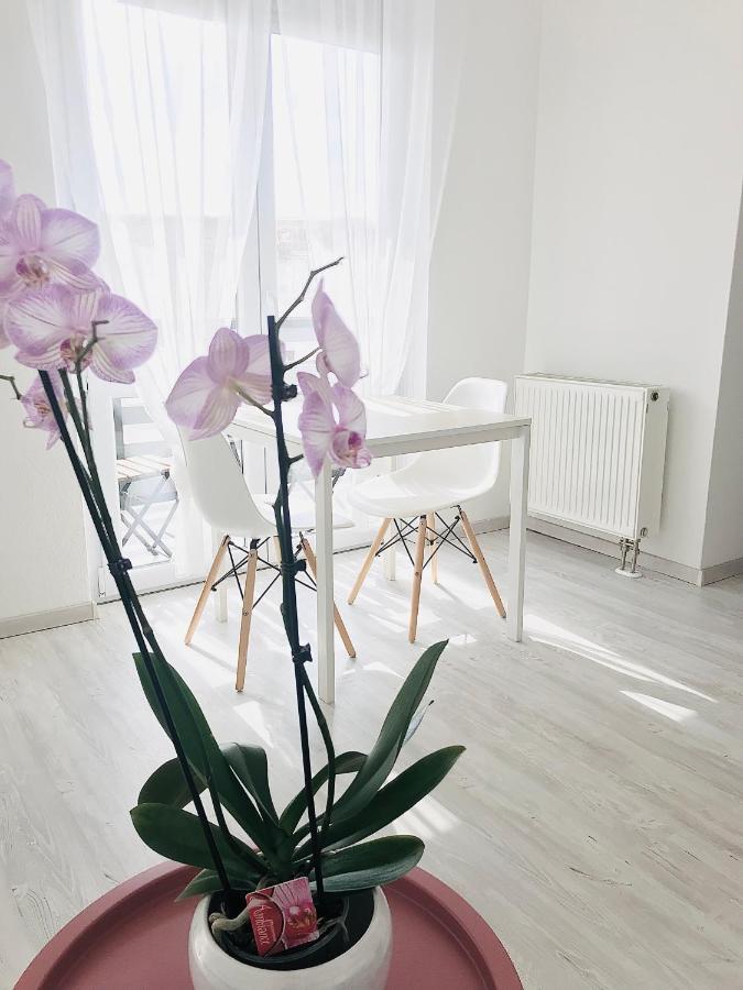 Belvarosi Studio Apartman Kecskemet Ngoại thất bức ảnh